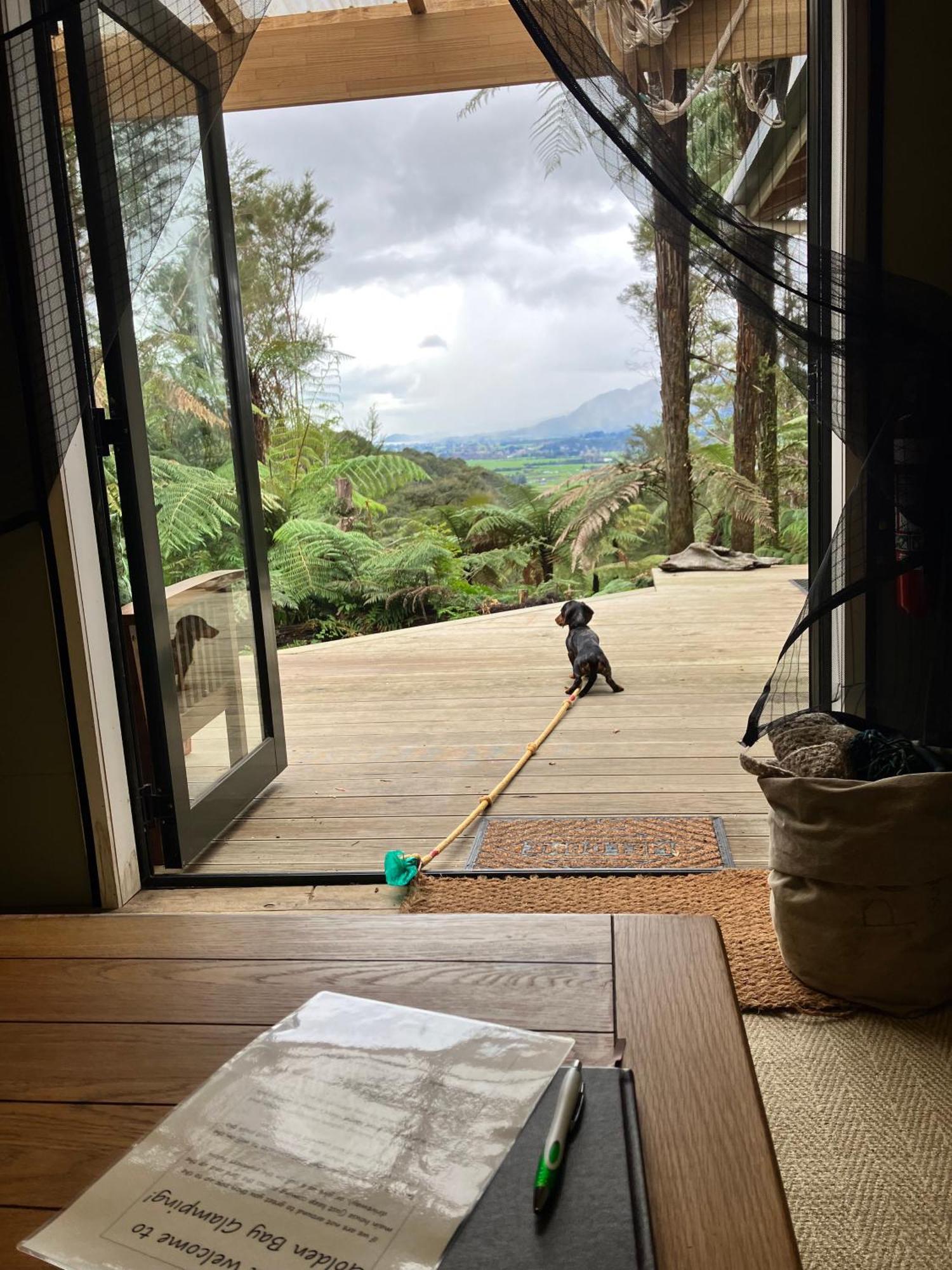 Golden Bay Glamping Hotel Takaka Eksteriør billede